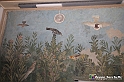 VBS_5993 - Svelamento di due capolavori della mostra Invito a Pompei